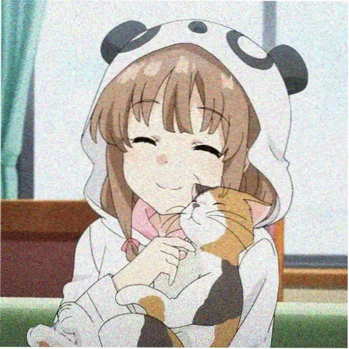 追剧小柯